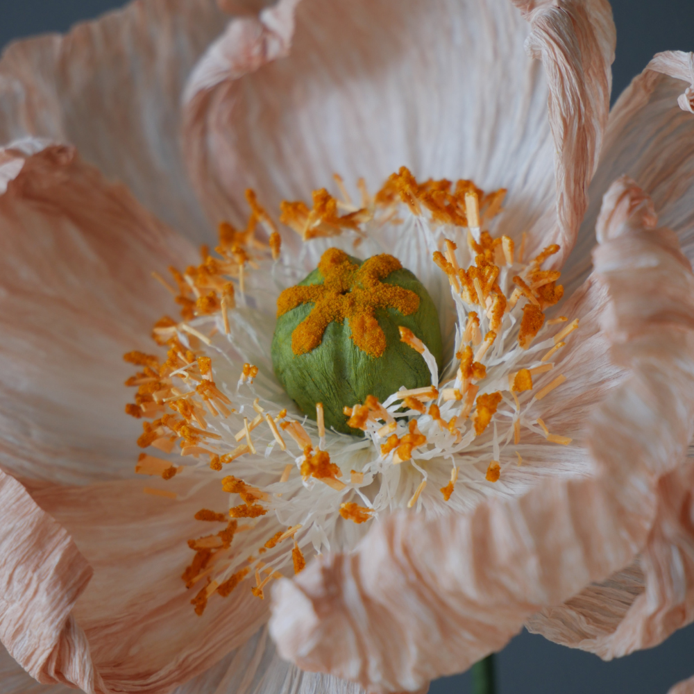 Crepe Paper Poppies - Paper Floristry Workshop-Workshop-Little Lane Workshops