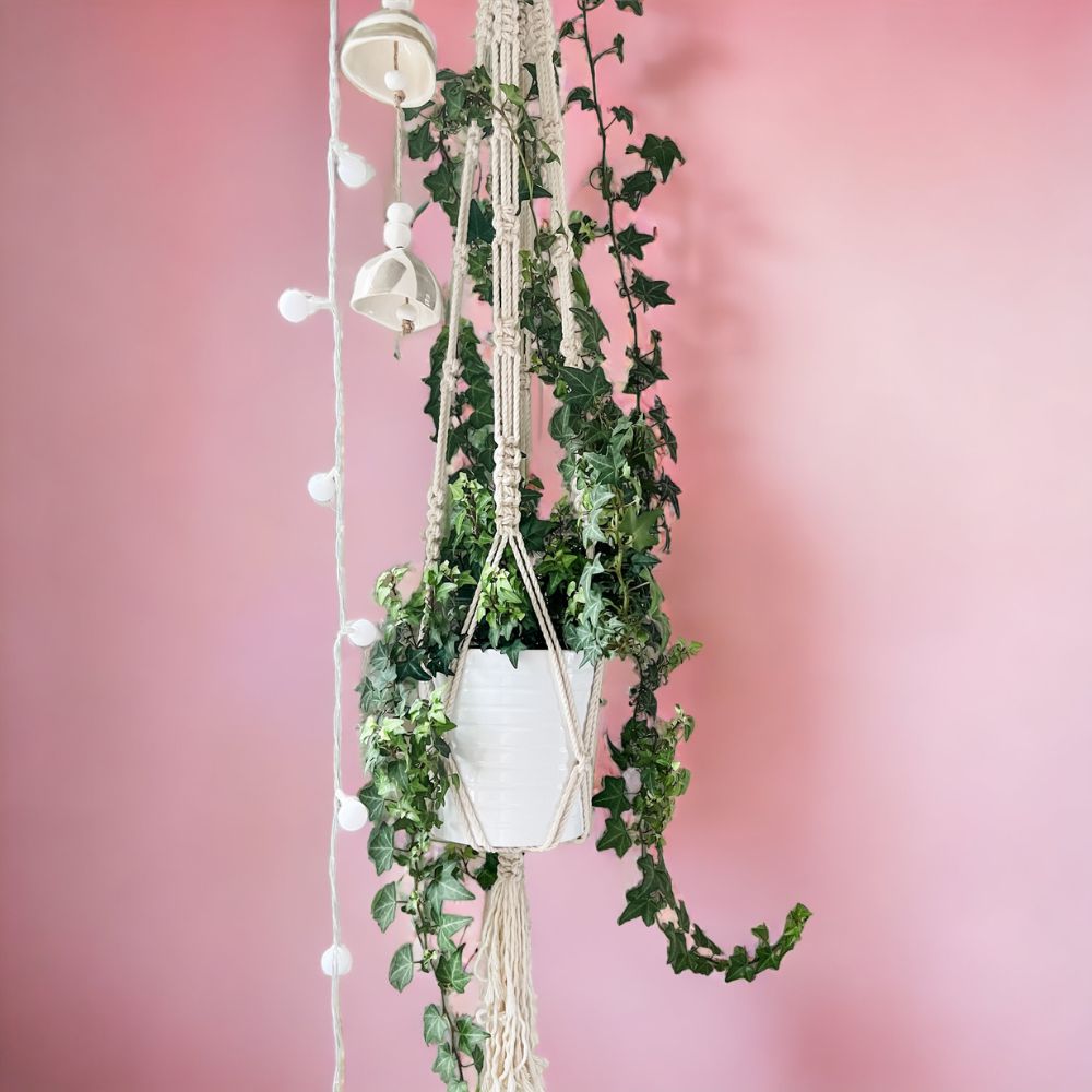 MACRAME PLANT HANGERS-Workshop-Little Lane Workshops