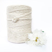 Macrame Twisted Mop Cotton 5mm-Macrame-Little Lane Workshops