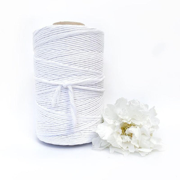 CLEARANCE Macrame Twisted Mop Cotton - Coloured 4mm x 1kg Pastel Bulk Rolls (Approx 270 Meters)-Macrame-Little Lane Workshops