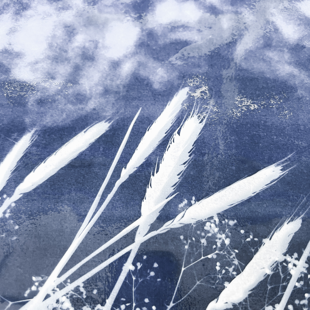 BOTANICAL CYANOTYPE WORKSHOP-Workshop-Little Lane Workshops
