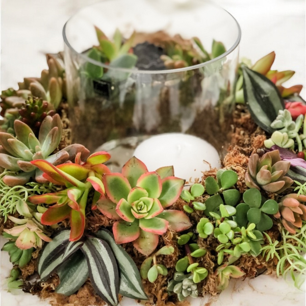 CHRISTMAS SUCCULENT TABLE TOP WREATH WORKSHOP-Workshop-Little Lane Workshops