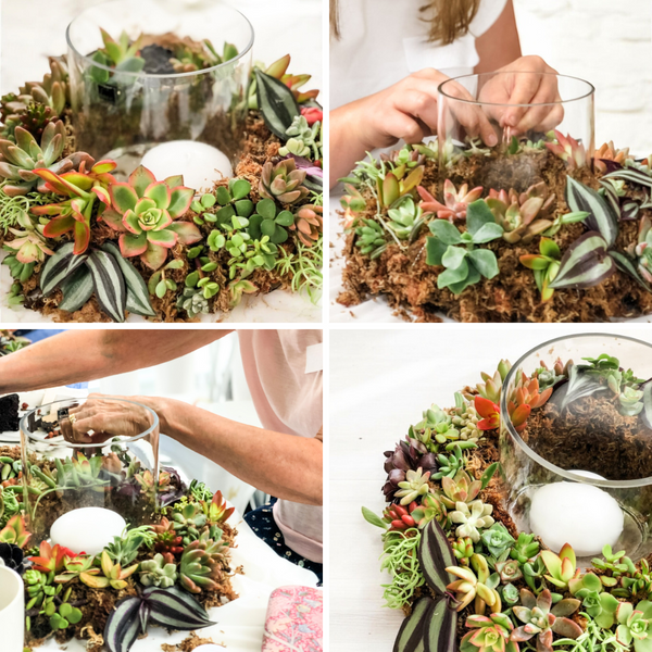 CHRISTMAS SUCCULENT TABLE TOP WREATH WORKSHOP-Workshop-Little Lane Workshops