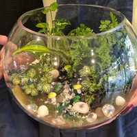 Terrarium Workshop - Create Your Own Living Garden