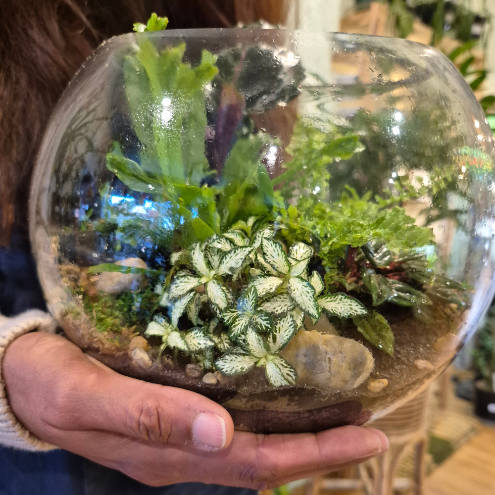 Terrarium Workshop - Create Your Own Living Garden