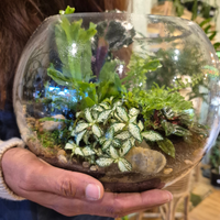 Terrarium Workshop - Create Your Own Living Garden