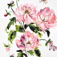 WATERCOLOUR PEONIES WORKSHOP-Workshop-Little Lane Workshops