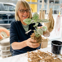 KOKEDAMA WORKSHOP-Workshop-Little Lane Workshops