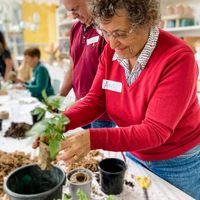 KOKEDAMA WORKSHOP-Workshop-Little Lane Workshops