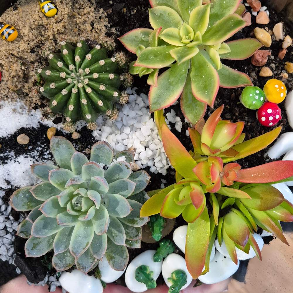 Terrarium Workshop - Create Your Own Living Garden