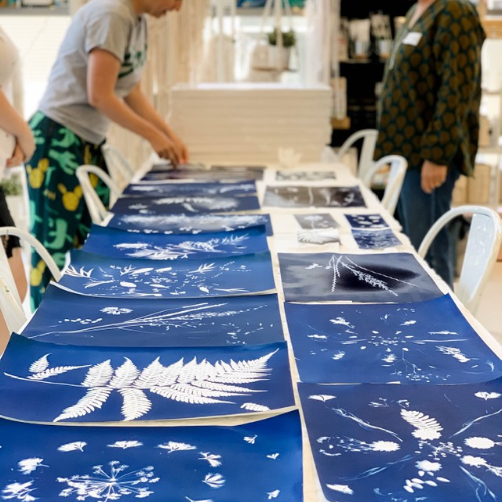 BOTANICAL CYANOTYPE WORKSHOP-Workshop-Little Lane Workshops