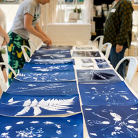 BOTANICAL CYANOTYPE WORKSHOP-Workshop-Little Lane Workshops