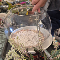 Terrarium Workshop - Create Your Own Living Garden