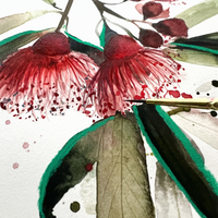 WATERCOLOUR NATIVE FLOWERS WORKSHOP-Workshop-Little Lane Workshops