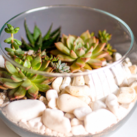 Terrarium Workshop - Create Your Own Living Garden