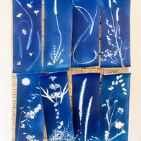 BOTANICAL CYANOTYPE WORKSHOP-Workshop-Little Lane Workshops
