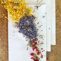 A4 & A5 Paper Making Kits By Born in Paper-Craft Kits-Little Lane Workshops