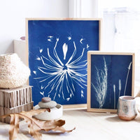 BOTANICAL CYANOTYPE WORKSHOP-Workshop-Little Lane Workshops