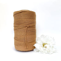 Macrame Twisted Cotton Rope - Coloured 3mm x 1kg Macrame Twisted Cotton Rope Pastel Bulk Rolls (Approx 425 Meters)-Macrame-Little Lane Workshops