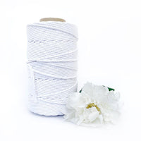 Macrame Twisted Cotton Rope - Coloured 5mm x 1kg Pastel Bulk Rolls (Approx 150 Meters)-Macrame-Little Lane Workshops