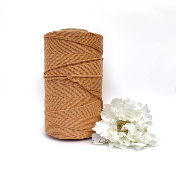 CLEARANCE Macrame Twisted Mop Cotton - Coloured 3mm x 1kg Pastel Bulk Rolls (Approx 480 Meters)-Macrame-Little Lane Workshops