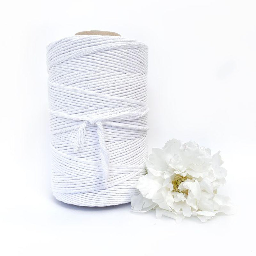 Macrame Twisted Mop Cotton - Coloured 4mm x 1kg Pastel Bulk Rolls (Approx 270 Meters)-Macrame-Little Lane Workshops