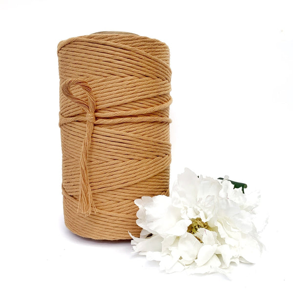 CLEARANCE Macrame Twisted Mop Cotton - Coloured 4mm x 1kg Pastel Bulk Rolls (Approx 270 Meters)-Macrame-Little Lane Workshops