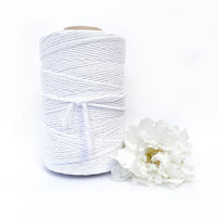 Macrame Twisted Mop Cotton - Coloured 5mm x 1kg Pastel Bulk Rolls (Approx 150 Meters)-Macrame-Little Lane Workshops