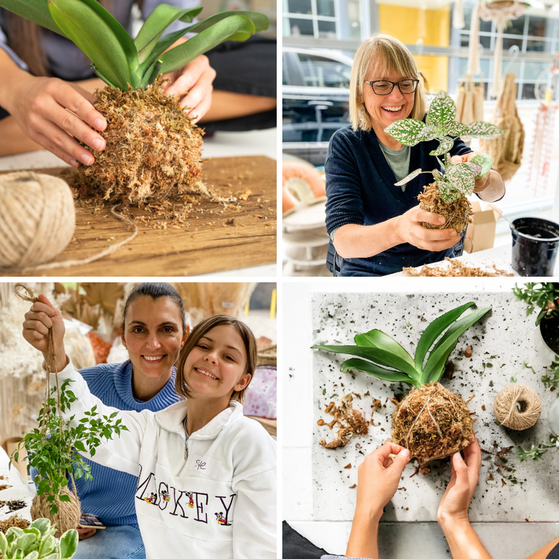 KOKEDAMA WORKSHOP | Little Lane Workshops | Sydney Creative Art and ...
