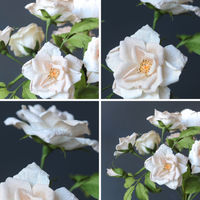 Crepe Paper Wild Rose Branch - Paper Floristry Workshop-Workshop-Little Lane Workshops