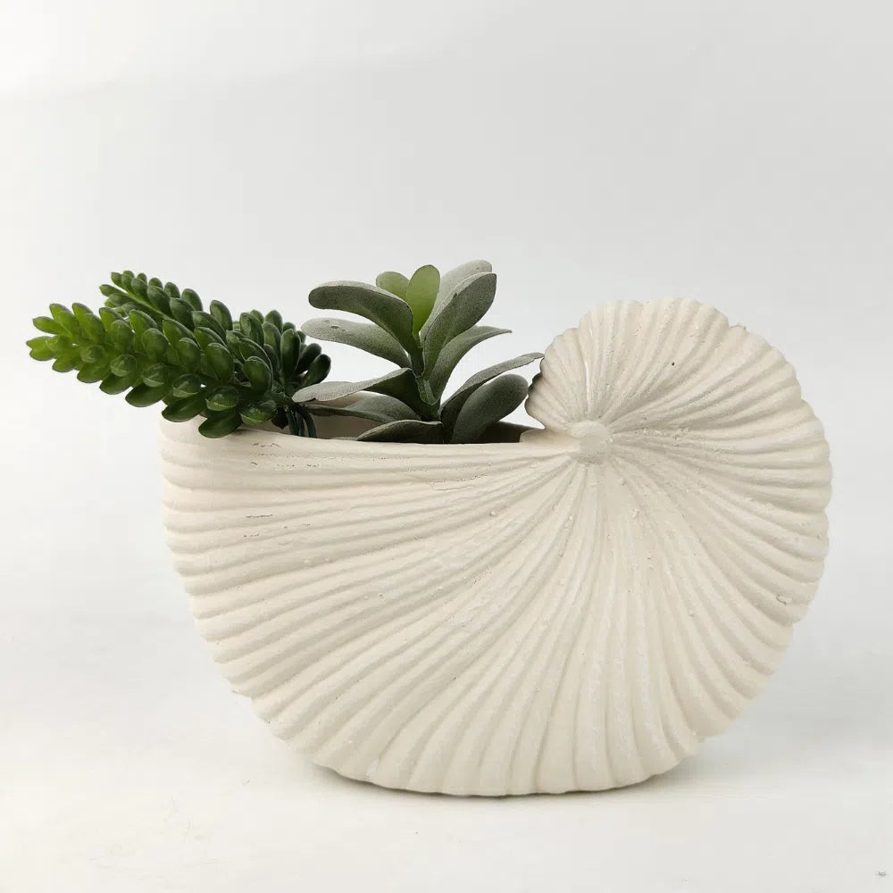 Shell Planters - 2 sizes-Homewares-Little Lane Workshops